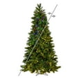thumbnail image 1 of Vickerman 14' x 87" Brighton Pine Artificial Christmas Tree, 4500 LED Color Changing Lights., 1 of 6