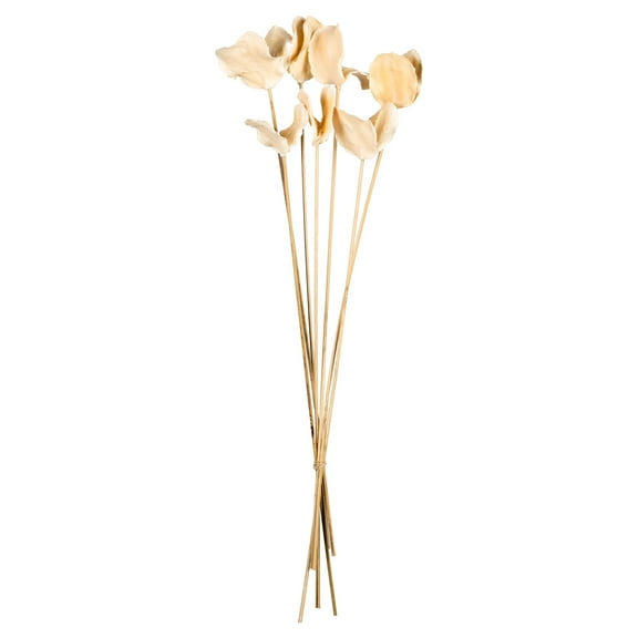 Vickerman 15-17" Bleached Jacaranda Pod on Stem. Includes 21 Stems (3 -7 Stem Bundles), Dried