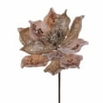 thumbnail image 1 of Vickerman 15" Artificial Champagne Deluxe Magnolia Christmas Stem, 8" Flower, 6 per bag, 1 of 2