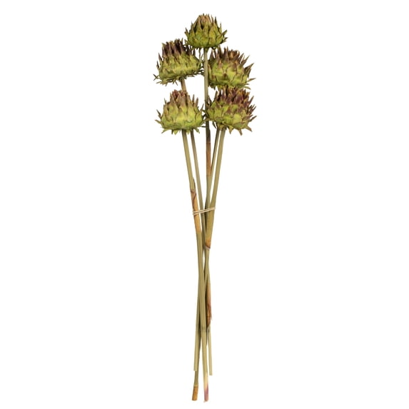 Vickerman 15" Basil Artichoke Head attached to a Reed Stem, Dried
