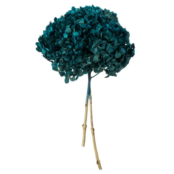 Vickerman 15" Blue Hydrangea with Multiple Branch Segments. Preserved