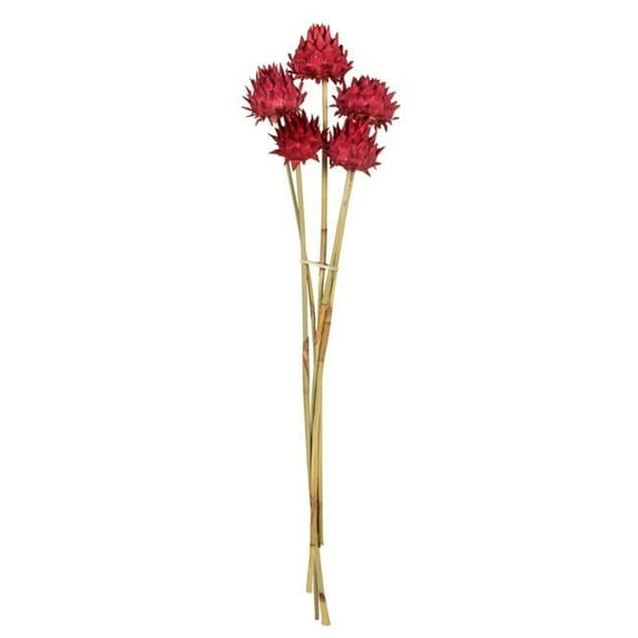Vickerman 15" Red Artichoke Head attached to a Reed Stem. Includes 9 Stems per Pack, Dried