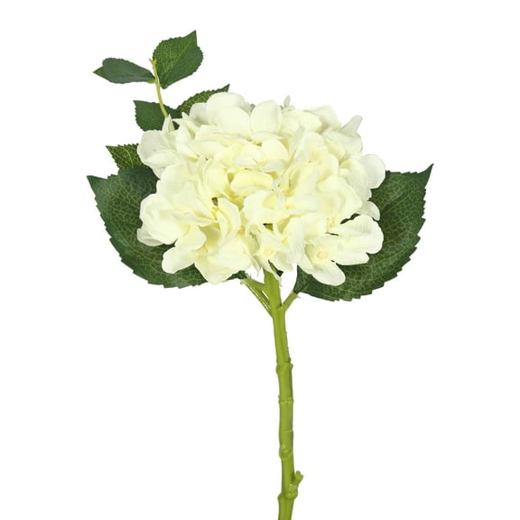 Vickerman 15" Short Stem Artificial Cream Hydrangea, Set of 3