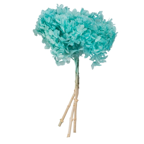 Vickerman 15" Turquoise Hydrangea with Multiple Branch Segments, Preserved