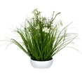 thumbnail image 1 of Vickerman 16.5" Artificial Potted Cream Cosmos and Green Grass., 1 of 3
