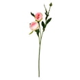 thumbnail image 1 of Vickerman 16" Artificial Pink Peony Spray. Includes 6 sprays per pack., 1 of 3