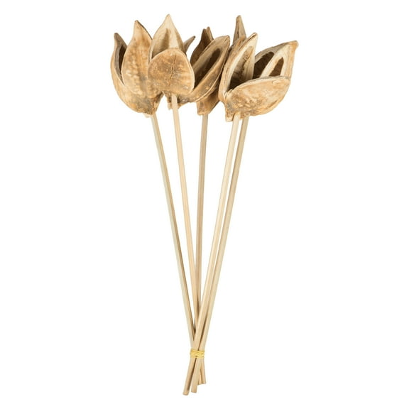 Vickerman 16" Bleached Sora Pod attached to a Wood Stem.  Includes 5 Stems per Pack, Dried