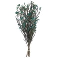 thumbnail image 1 of Vickerman 16" Blue Rice Flower.  Comes in an 8 oz Bundle. Preserved, 1 of 6