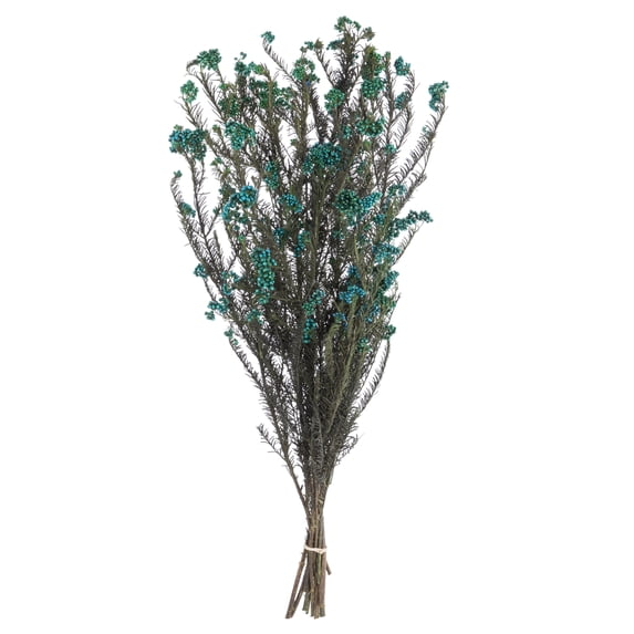 Vickerman 16" Blue Rice Flower. Comes in an 8 oz Bundle. Preserved