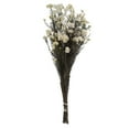 thumbnail image 1 of Vickerman 16" Natural White Rice Flower. Comes in a 4.25 oz Bundle. Preserved, 1 of 2
