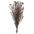 thumbnail image 1 of Vickerman 16" Purple Orchid Rice Flower.  Comes in an 8 oz Bundle. Preserved, 1 of 5