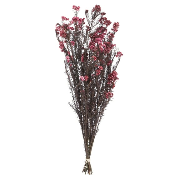 Vickerman 16" Wild Berry Rice Flower . Comes in a 4.25 oz Bundle. Preserved