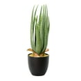thumbnail image 1 of Vickerman 17.5" Artificial Green Potted Aloe Vera., 1 of 2