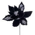 thumbnail image 1 of Vickerman 17" Artificial Black Poinsettia Christmas Stem, 12" Flower, 3 per bag, 1 of 2