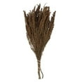 thumbnail image 1 of Vickerman 18-20" Brown Heather - 4-5 oz Bundle, Preserved, 1 of 5