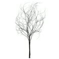 thumbnail image 1 of Vickerman 18-20" Natural Brown Skeleton Branch 3 packs (2 per pack), Dried, 1 of 5