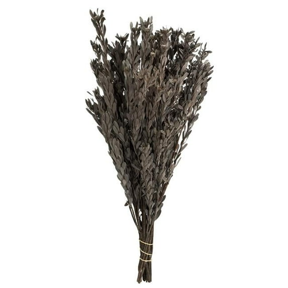 Vickerman 18-20" Silver White Pubescens, 5 oz Bundle, Preserved