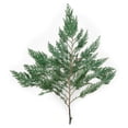 thumbnail image 1 of Vickerman 18-24"  Port Orford Green Cedar Branches, 15Lb Box, Preserved, 1 of 1