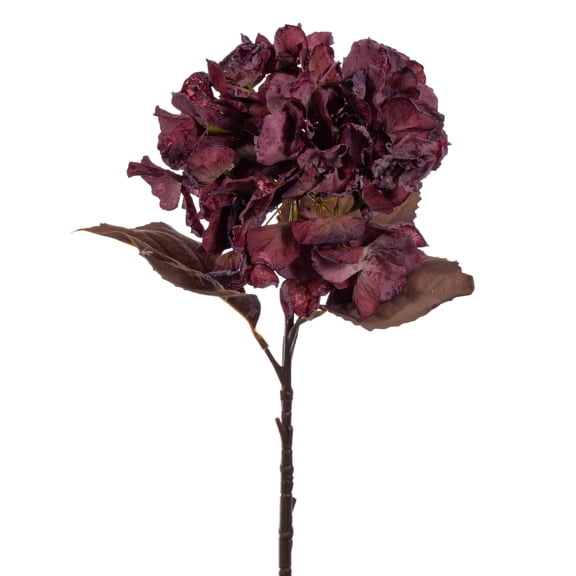 Vickerman 18.5" Light Burgundy Artificial Dried Hydrangea Spray, 2 per Bag.