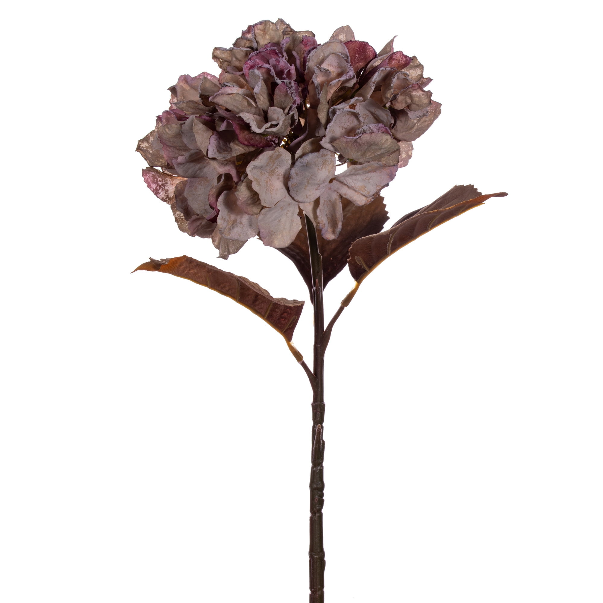 Vickerman 18.5" Plum Green Artificial Dried Hydrangea Spray, 2 per Bag.