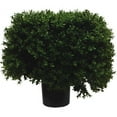 thumbnail image 1 of Vickerman 18" Artificial Boxwood Square in a Black Plastic Pot, 1 of 1