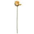 thumbnail image 1 of Vickerman 18" Artificial Mustard Rose Stem, 12 per Bag, 1 of 3