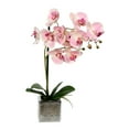 thumbnail image 1 of Vickerman 18" Artificial Pink Phalaenopsis In Metal Pot., 1 of 3