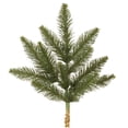thumbnail image 1 of Vickerman 18" Camdon Fir Artificial Christmas Spray, 1 of 3