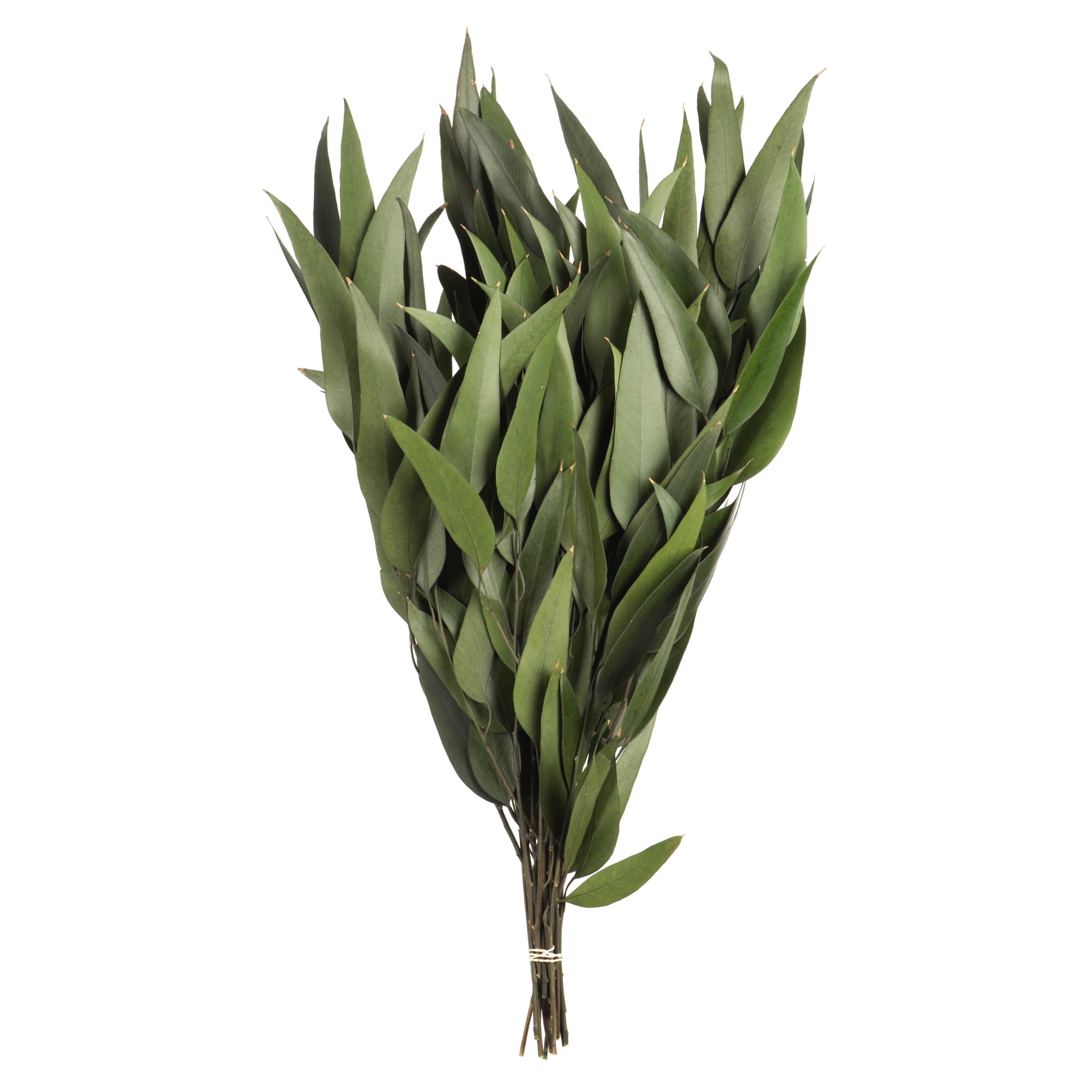 18" Green Eucalyptus Weeping Willow Topiary Centerpiece