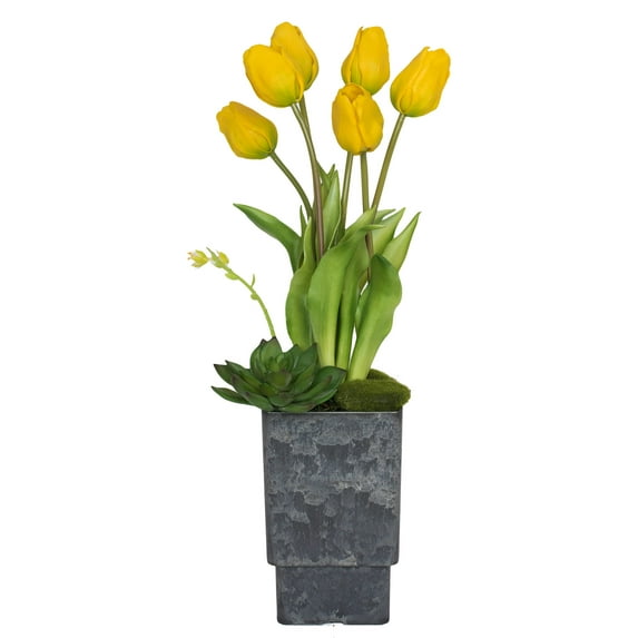 Vickerman 18" Yellow Tulips in Square Vase