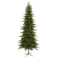 thumbnail image 1 of Vickerman 18888 - 7' x 36" Jersey Frasier Fir Pencil 400 Clear Lights Christmas Tree (E102171), 1 of 2