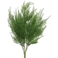 thumbnail image 1 of Vickerman 19.5" Artificial Green Asparagus Bush., 1 of 3