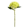 thumbnail image 1 of Vickerman 19" Artificial Green Hydrangea Spray. Includes 3 sprays per pack., 1 of 3