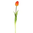 thumbnail image 1 of Vickerman 19" Artificial Orange Tulip Stem, Set of 3, 1 of 4
