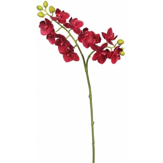 Vickerman 19" Real Touch Magenta Orchid featuring 2 Branches with 11 Heads