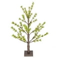 thumbnail image 1 of Vickerman 2' Green Mini Pine Twig Tree, Battery Operated Warm White 3mm LED lights., 1 of 4