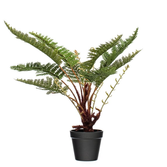 Vickerman 20" Artificial Green Fern in Round Black Pot.
