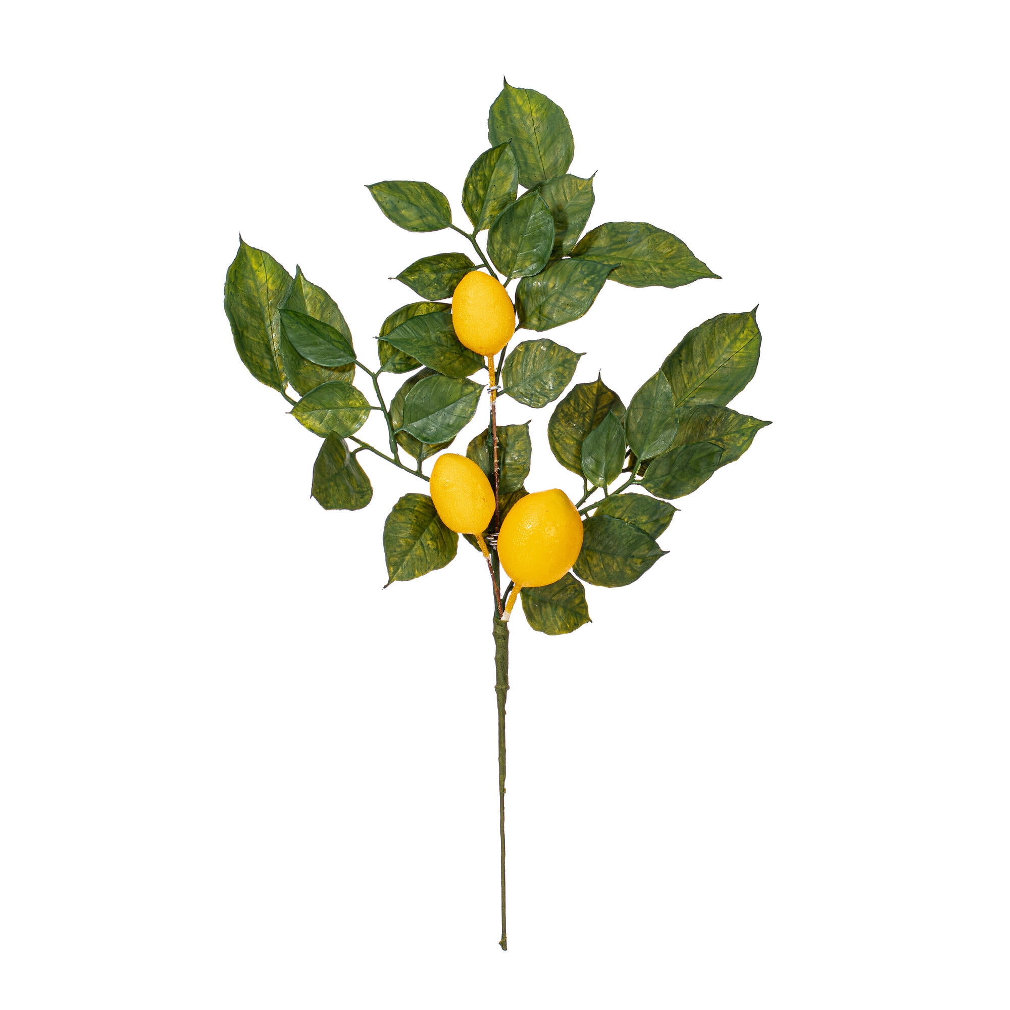 20" Green and Yellow Artificial Lemon Spray Arrangement