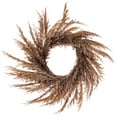 thumbnail image 1 of Vickerman 20" Artificial Mocha Brown Pampas Grass Wreath, 1 of 3