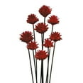 thumbnail image 1 of Vickerman 20" Red Plumosum Head attached to a Brown Stem, 9 stems, Dried, 1 of 1