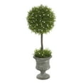 thumbnail image 1 of Vickerman 21" Artificial Green Oregon Juniper Topiary., 1 of 3