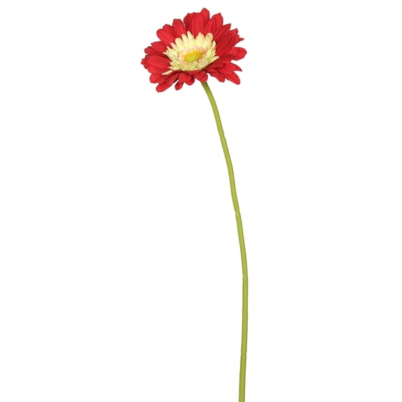 Vickerman 21" Artificial Red Gerbera Daisy Stem, 6 per Bag