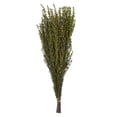 thumbnail image 1 of Vickerman 22-26" Yellow Grabia, 5-6 oz Bundle, Preserved, 1 of 4