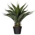 thumbnail image 1 of Vickerman 22" Artificial Green Potted Aloe Vera., 1 of 2