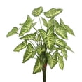 thumbnail image 1 of Vickerman 22" Artificial Green Syngonium Bush., 1 of 3