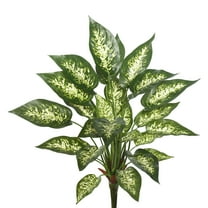 Vickerman 22" Artificial Green and White Dieffenbachia Exotica Bush.
