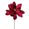 thumbnail image 1 of Vickerman 22" Burgundy Velvet Sheen Glitter Trim Poinsettia Stem, 4 per bag., 1 of 1