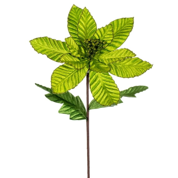 Vickerman 22" Lime Velvet Glitter Trim Poinsettia, 6 per bag.
