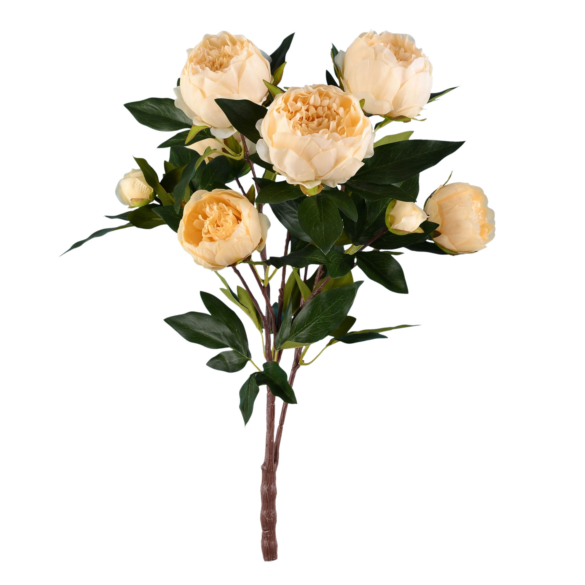 23" Beige Artificial Peony Spray with Green Leaves