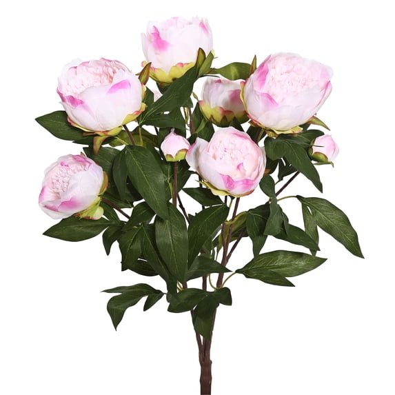 Vickerman 23" Artificial Cream and Pink Peony Bush.